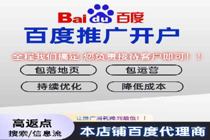SEO与SEM案例分析：提升网站排名策略
